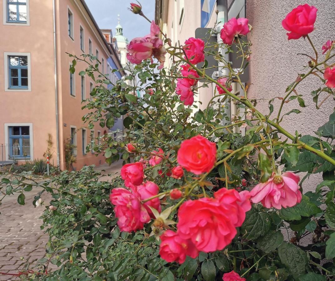 Fynbos Studio Dg In Der Altstadt, Frauenkirchenblick, Parkplatz Мейсен Экстерьер фото