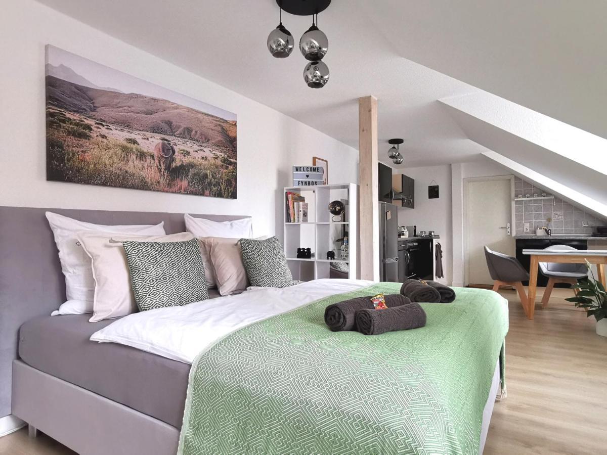 Fynbos Studio Dg In Der Altstadt, Frauenkirchenblick, Parkplatz Мейсен Экстерьер фото