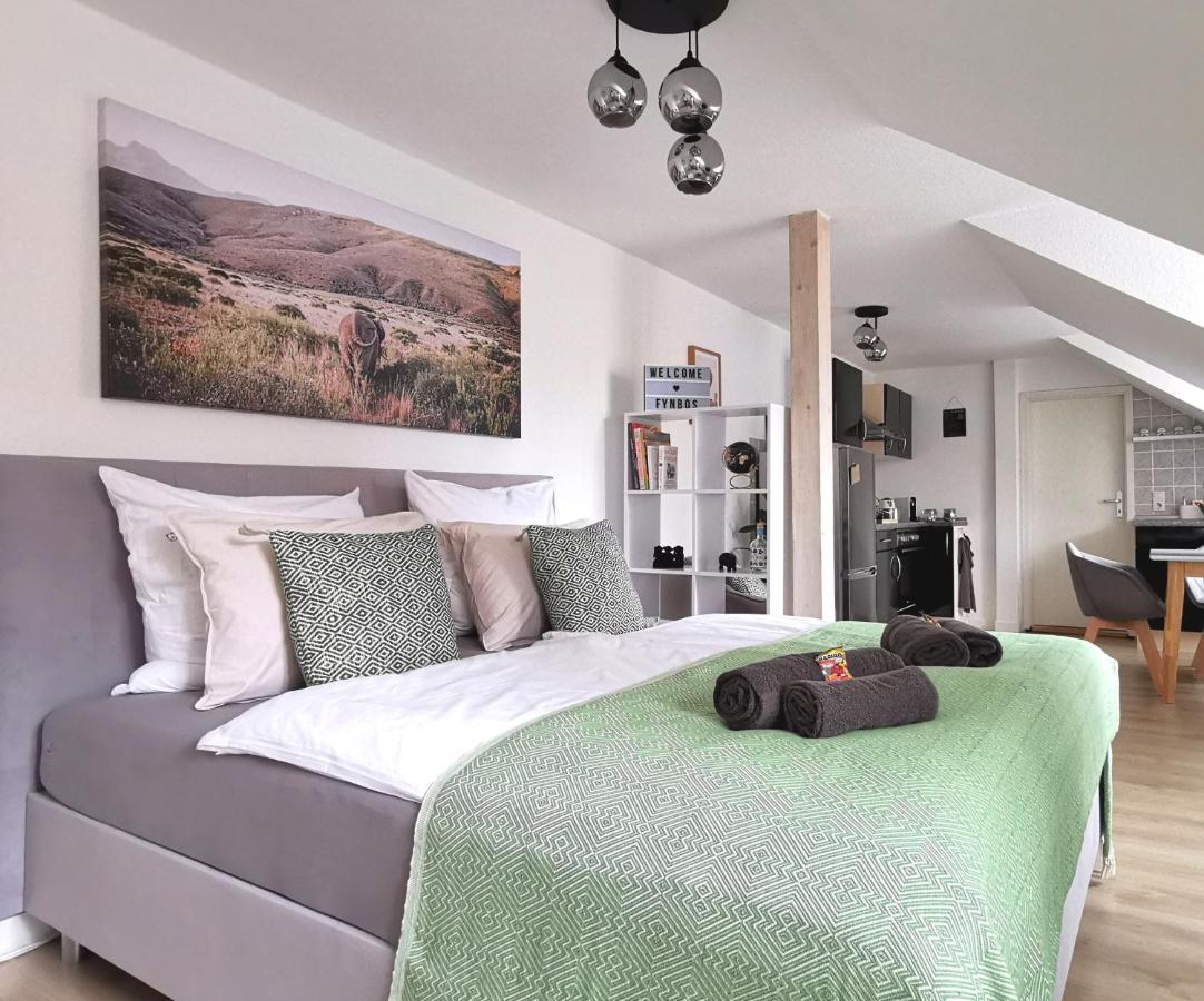 Fynbos Studio Dg In Der Altstadt, Frauenkirchenblick, Parkplatz Мейсен Экстерьер фото